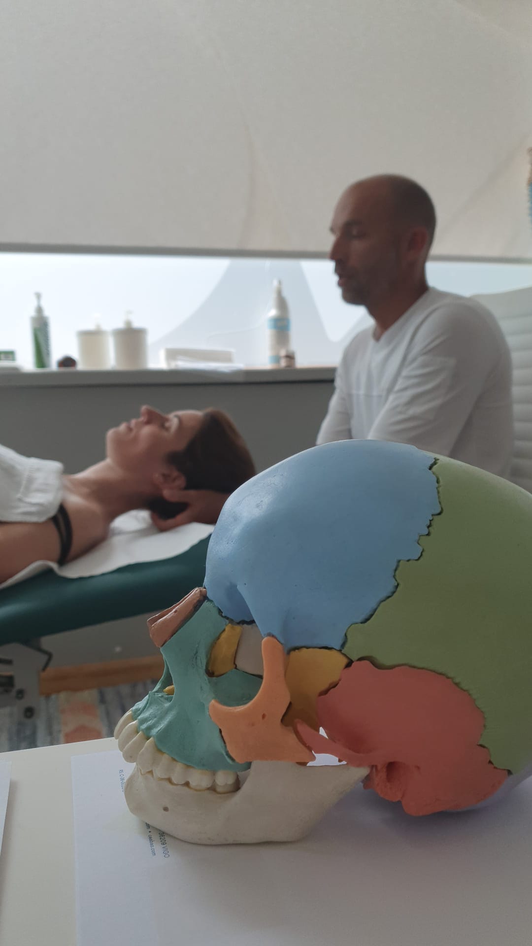 Sesión de terapia manual en CEABAO junto a un modelo anatómico del cráneo