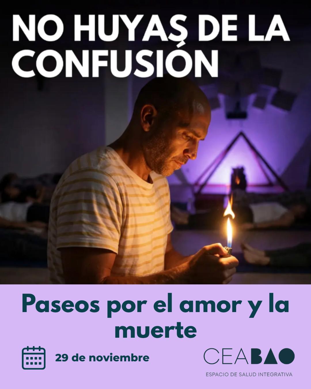 Cartel de Paseos por el Amor y la Muerte: No huyas de la confusión, 29 de noviembre